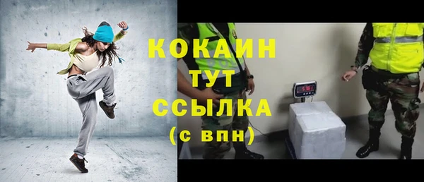 твердый Арсеньев