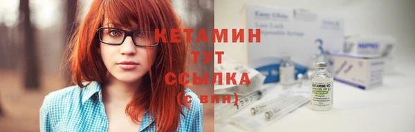 твердый Арсеньев