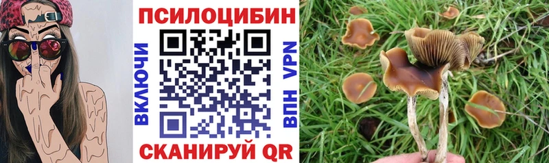 Галлюциногенные грибы мухоморы MEGA зеркало Армянск